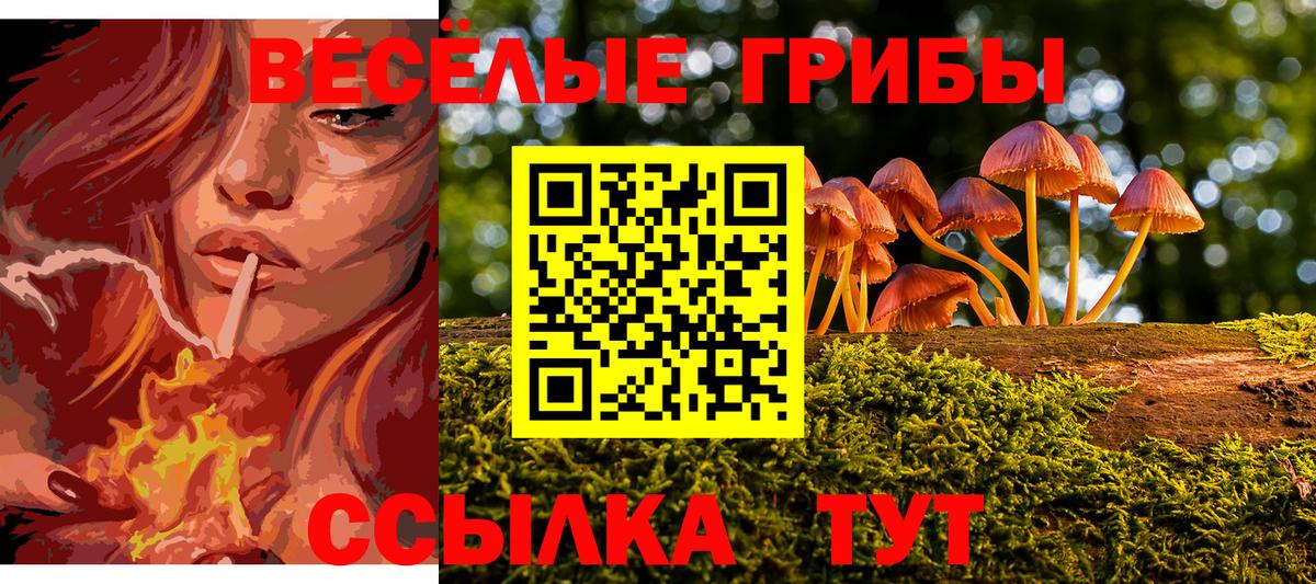 Нижнекамск  Галлюциногенные грибы ЛСД  Псилоцибиновые грибы GOLDEN TEACHER  Вход с VPN 