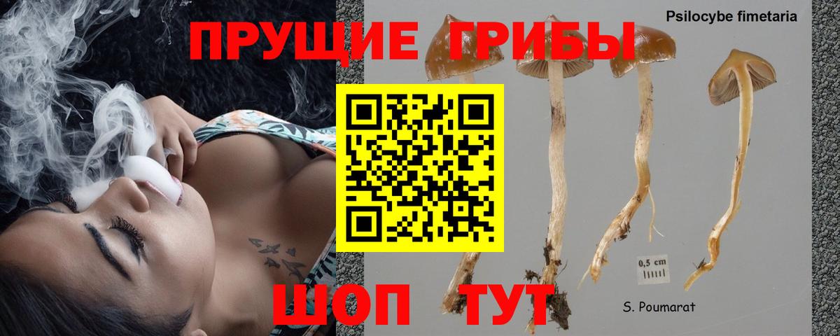 Псилоцибиновые грибы мицелий Нижнекамск